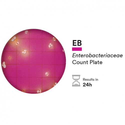 3M™ Petrifilm™ Enterobacteriaceae EB Count Plate (50st)