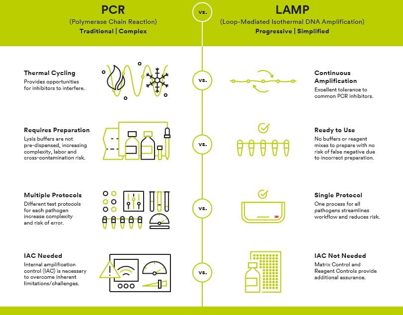 DNA-analys: Vad skiljer PCR och LAMP?